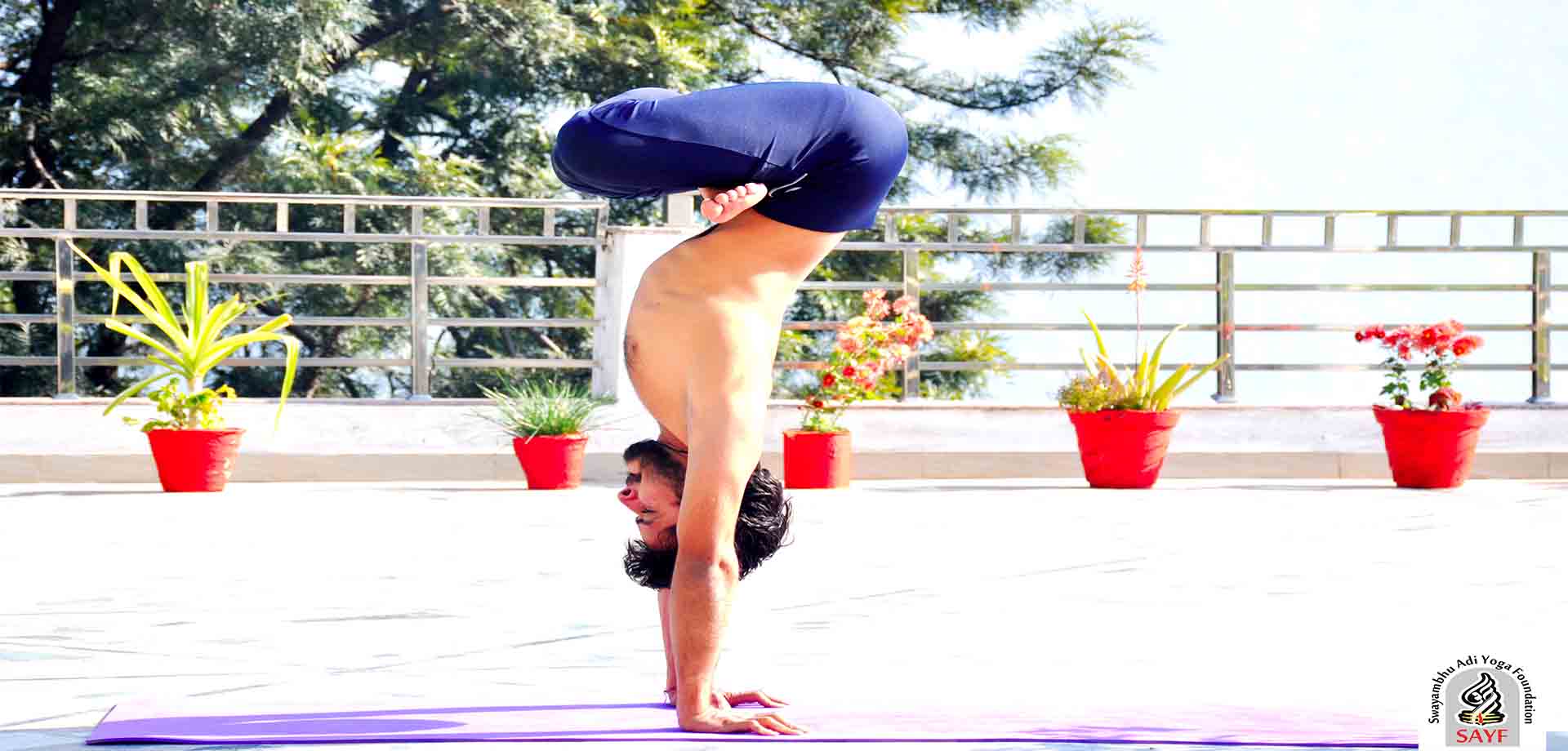 yoga-school-in-rishikesh